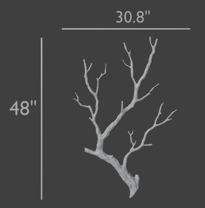 A 3D rendering of a bare branching branch or coral-like decor piece on a dark gray background, with white dimension lines and text showing 30.8 inches wide and 48 inches tall.
