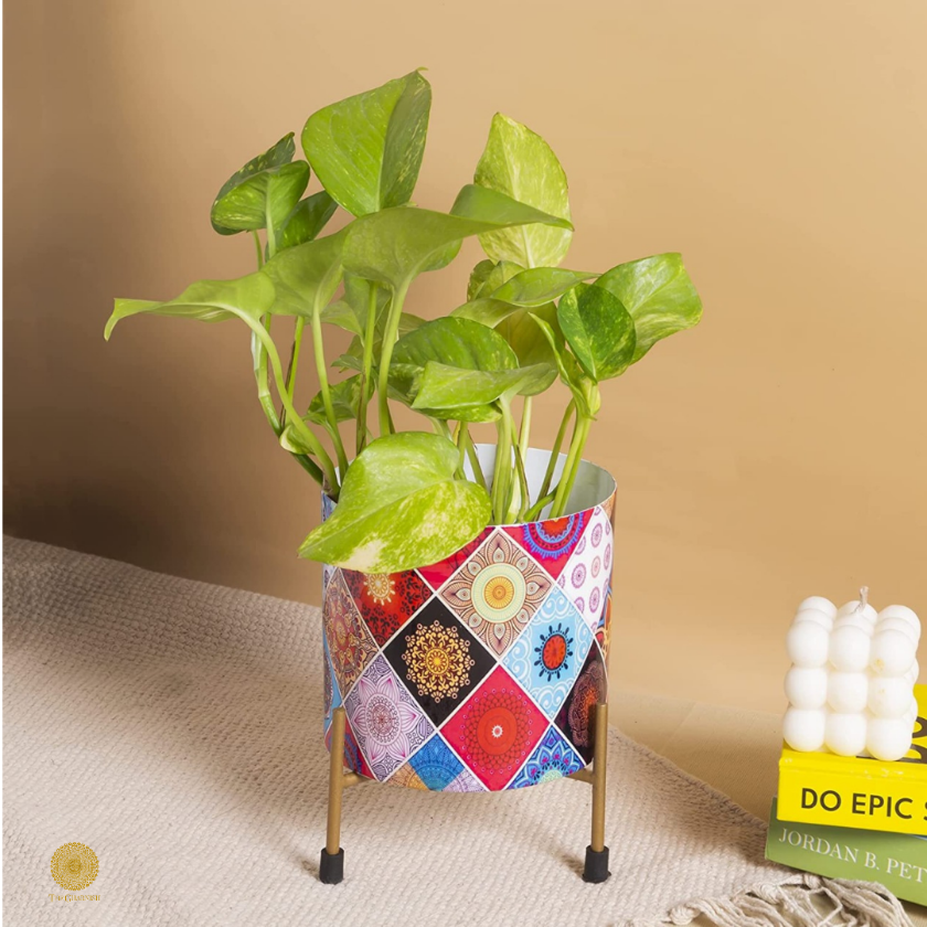 Enamel Printed Planter With Stand (10 x 7 Inches) - The Gharnish - A Unit of Satkala Creations