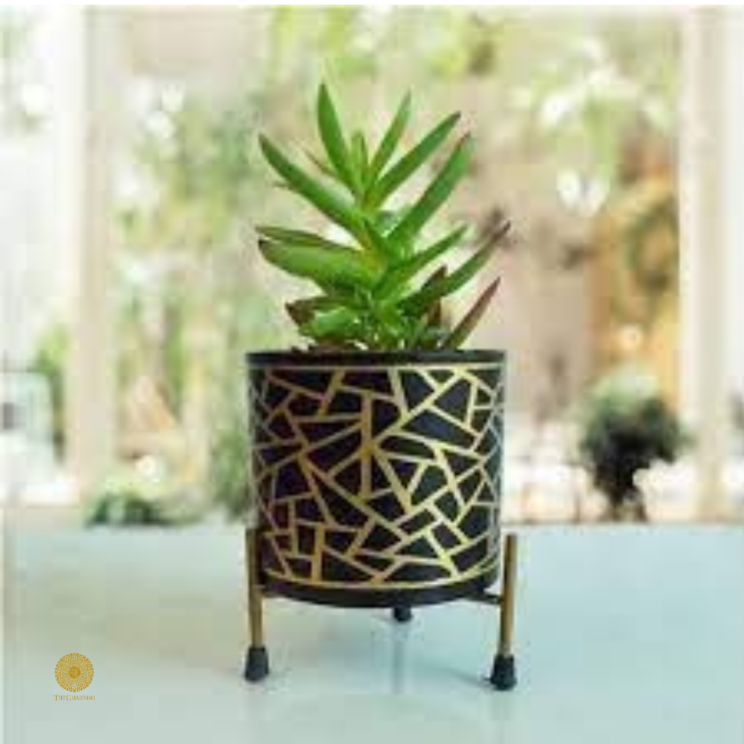 Enamel Printed Planter With Stand (10 x 7 Inches) - The Gharnish - A Unit of Satkala Creations