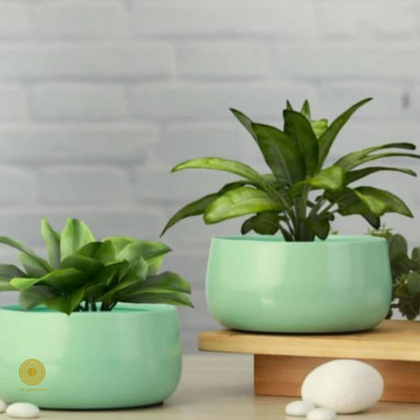 Elegant Handi Pot Planters set of 1(pcs) - The Gharnish - A Unit of Satkala Creations