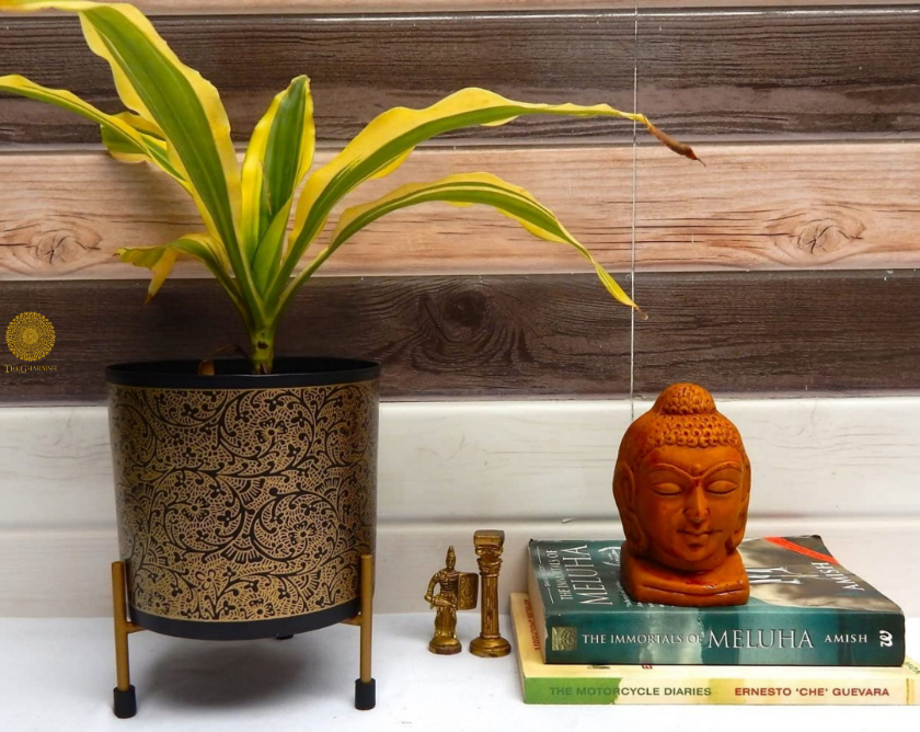 Enamel Printed Planter With Stand (10 x 7 Inches) - The Gharnish - A Unit of Satkala Creations