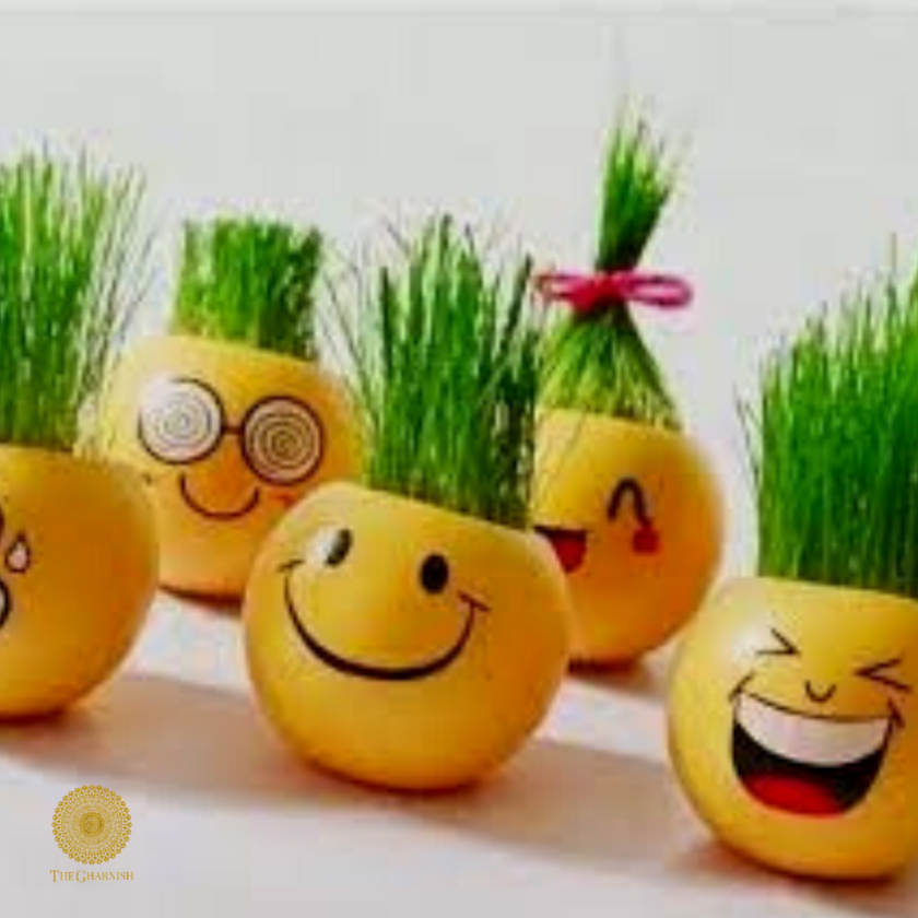 Enamel Coated Smiley Table Top Metallic Planter ( 4 x 5 Inches) Each - The Gharnish - A Unit of Satkala Creations