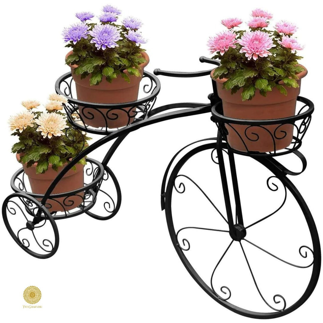 Planter Stand Tricycle (28 x 23 Inches) - The Gharnish - A Unit of Satkala Creations
