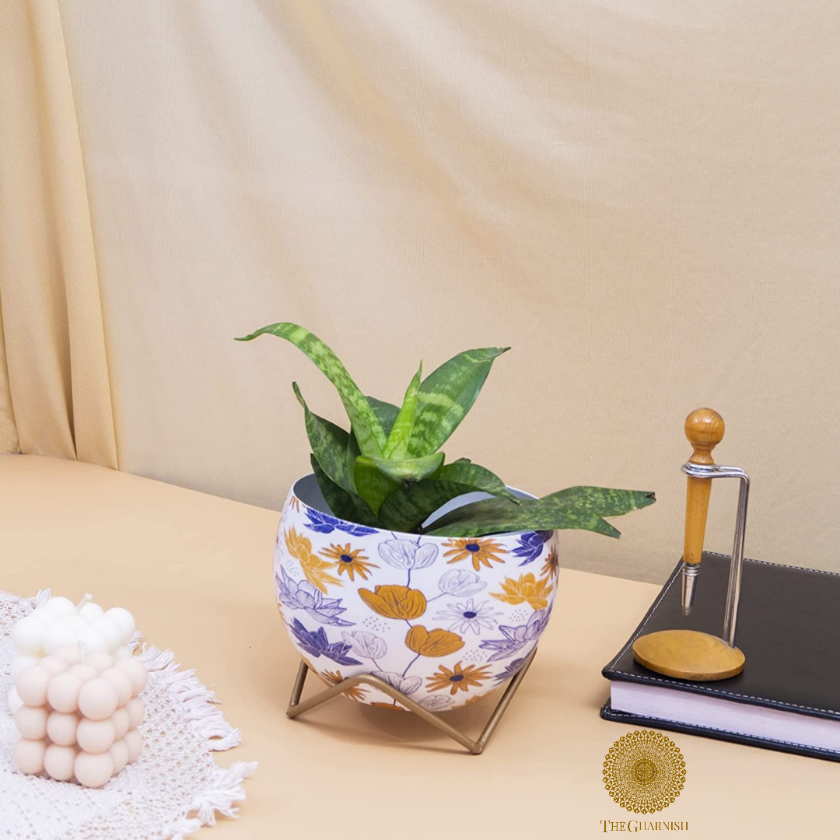 Enamel Coted Table Top Planters With Stand (5 x 6 Inches) - The Gharnish - A Unit of Satkala Creations