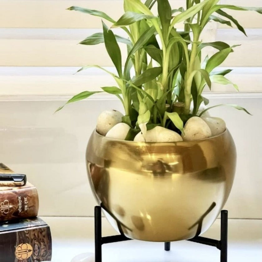 Iron Round Table Top Planter With Stand ( 7 x 6 Inches ) - The Gharnish - A Unit of Satkala Creations