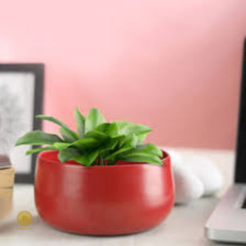 Elegant Handi Pot Planters set of 1(pcs) - The Gharnish - A Unit of Satkala Creations