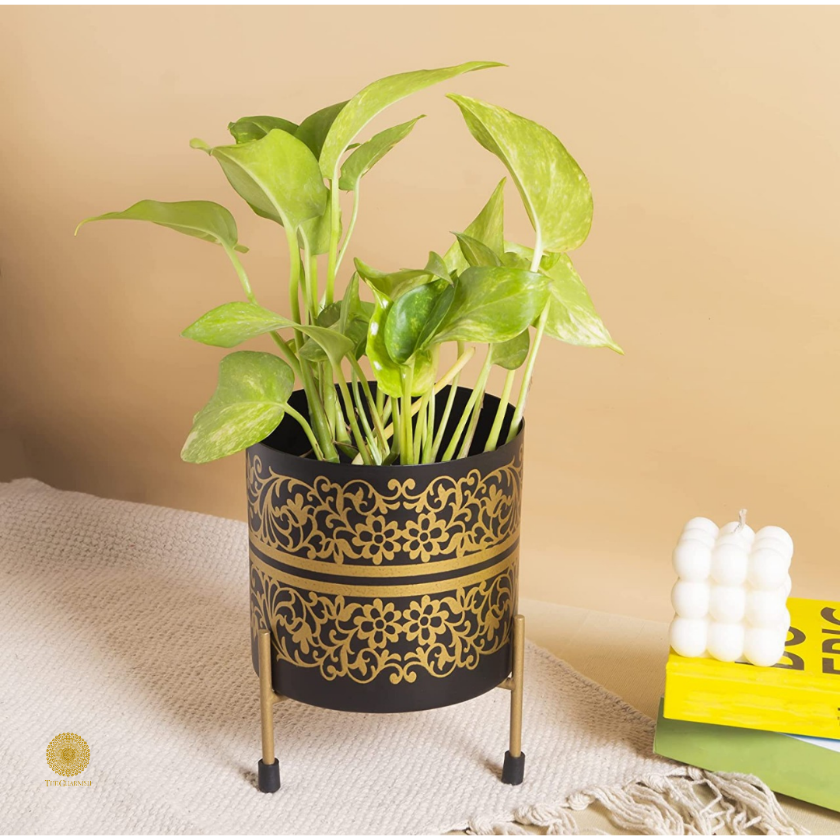 Enamel Printed Planter With Stand (10 x 7 Inches) - The Gharnish - A Unit of Satkala Creations