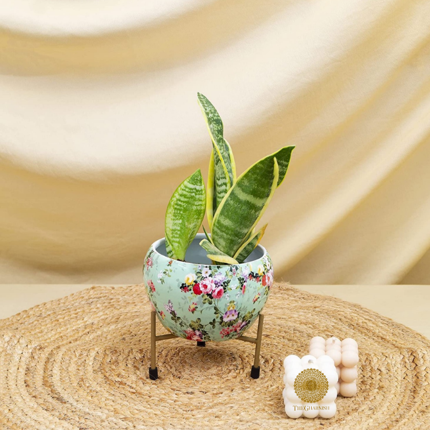 Enamel Coted Table Top Planters With Stand (5 x 6 Inches) - The Gharnish - A Unit of Satkala Creations