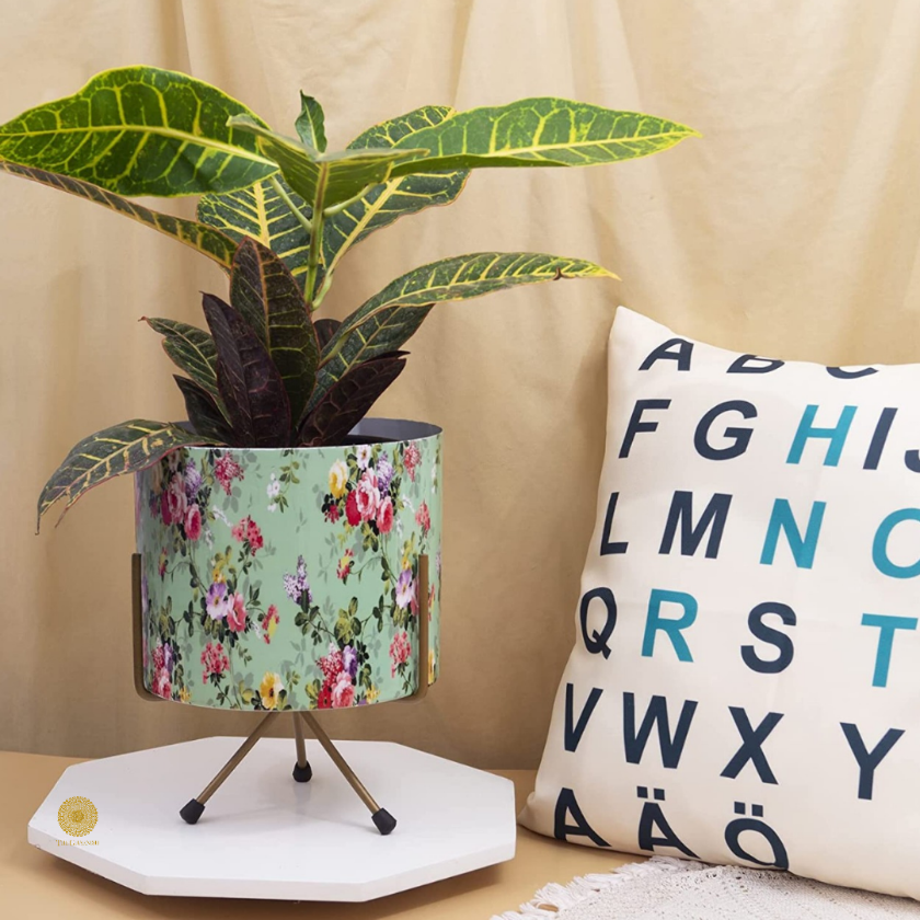 Enamel Printed Planter With Stand (10 x 7 Inches) - The Gharnish - A Unit of Satkala Creations
