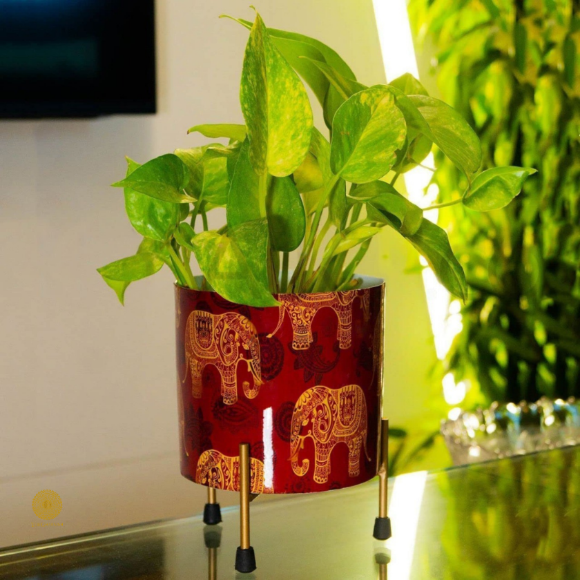 Enamel Printed Planter With Stand (10 x 7 Inches) - The Gharnish - A Unit of Satkala Creations