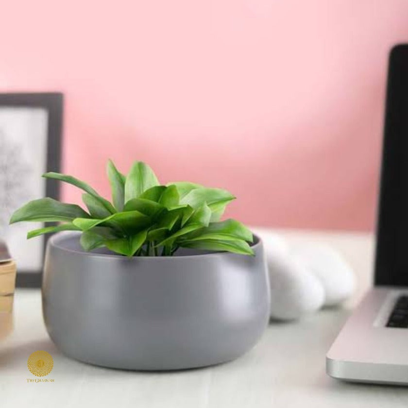 Elegant Handi Pot Planters set of 1(pcs) - The Gharnish - A Unit of Satkala Creations
