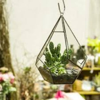 Diamond Glass Hanging Terrarium - The Gharnish - A Unit of Satkala Creations
