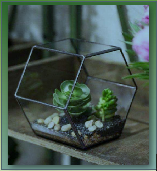 Table Top Glass Terrarium - The Gharnish - A Unit of Satkala Creations