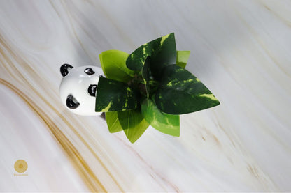 Panda Miniature Pot