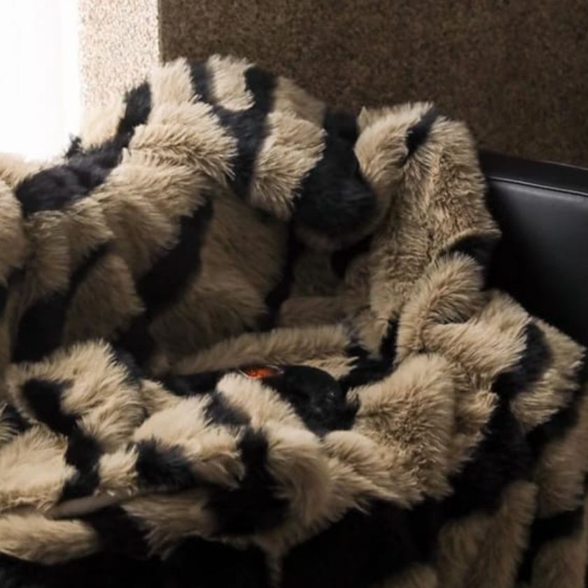 Zebra Print Fur Blanket Set – Ultra Soft & Luxurious Bedding Ensemble - The Gharnish - A Unit of Satkala Creations