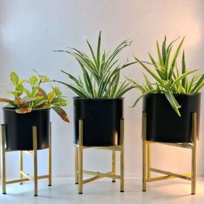 Set of three metal planters with stands from The Gharnish, suitable for home or office decor.
