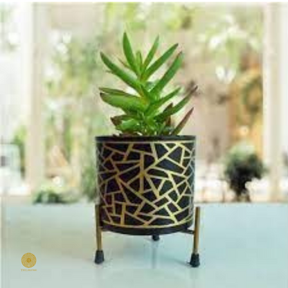 Enamel Printed Planter With Stand (10 x 7 Inches)