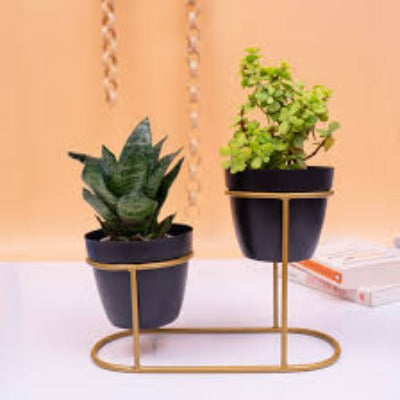 Set of 2 jointed planters by TheGharnish, 10x8 inches, featuring adjustable joints and stylish outdoor plant containers.