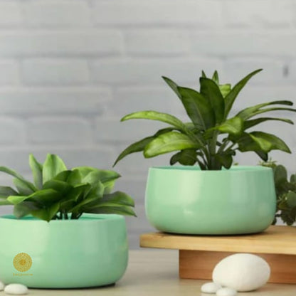 Elegant Handi Pot Planters set of 1(pcs) - The Gharnish - A Unit of Satkala Creations