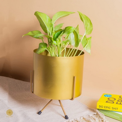 Enamel Printed Planter With Stand (10 x 7 Inches) - The Gharnish - A Unit of Satkala Creations