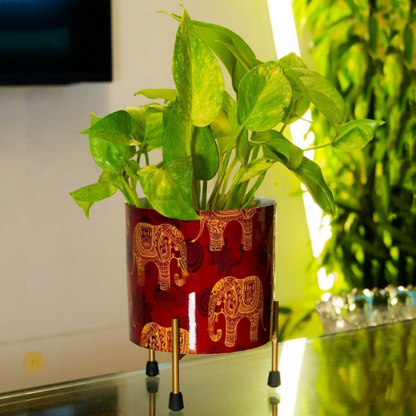 Enamel Printed Planter With Stand (10 x 7 Inches) - The Gharnish - A Unit of Satkala Creations