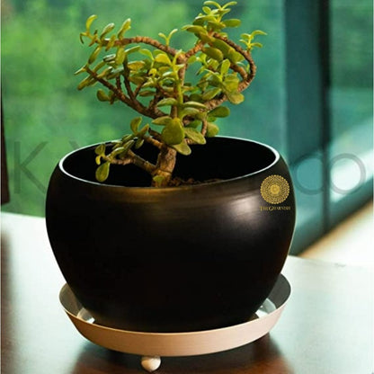 Iron Round Table Top Planter  ( 5 x 6 Inches ) - The Gharnish - A Unit of Satkala Creations